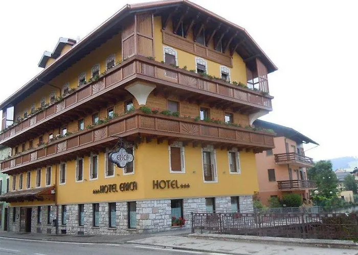 艾丽卡轻松酒店 酒店