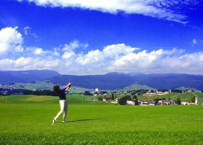 艾丽卡轻松酒店 3* 阿西阿高