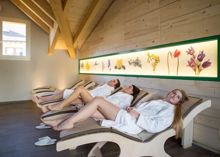 艾丽卡轻松酒店 酒店 3*