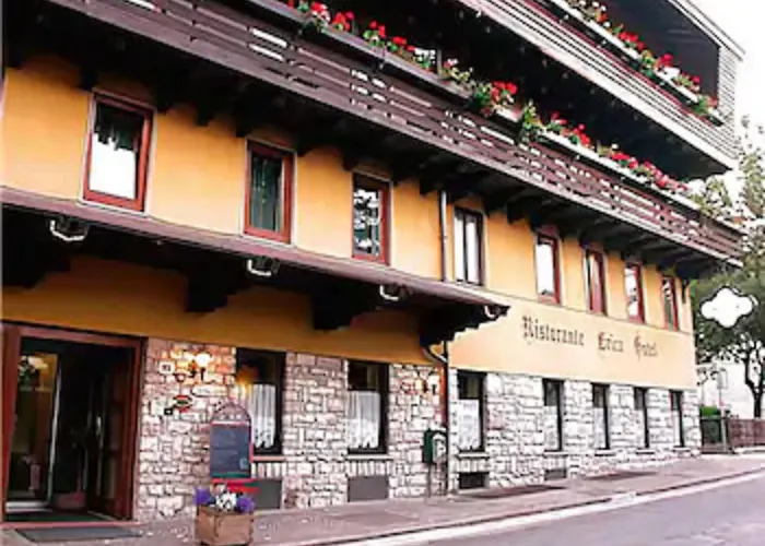 酒店 艾丽卡轻松酒店