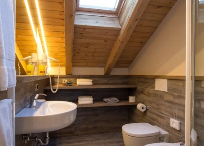 酒店 艾丽卡轻松酒店 阿西阿高