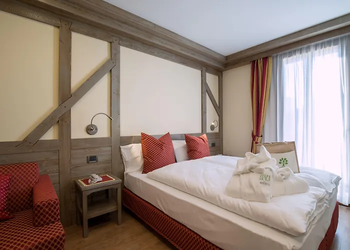 艾丽卡轻松酒店 3* 阿西阿高