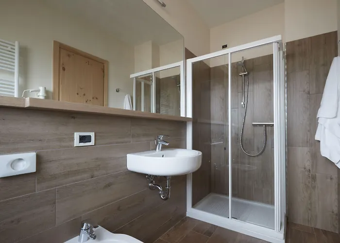 艾丽卡轻松酒店 3* 阿西阿高