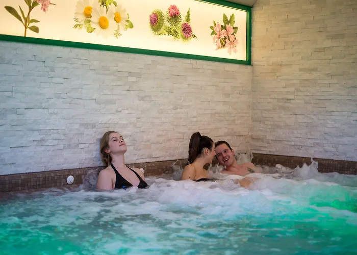 艾丽卡轻松酒店 阿西阿高