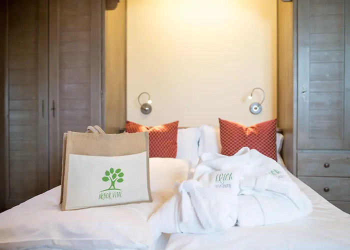 艾丽卡轻松酒店 酒店