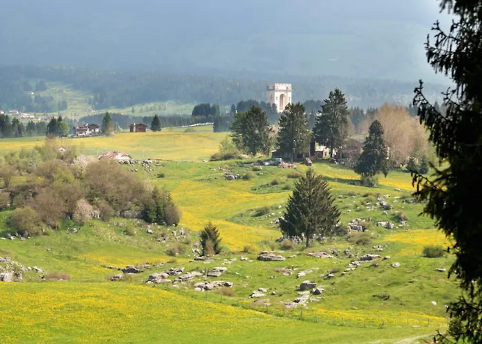 艾丽卡轻松酒店 阿西阿高