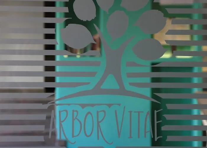 艾丽卡轻松酒店 3* 阿西阿高