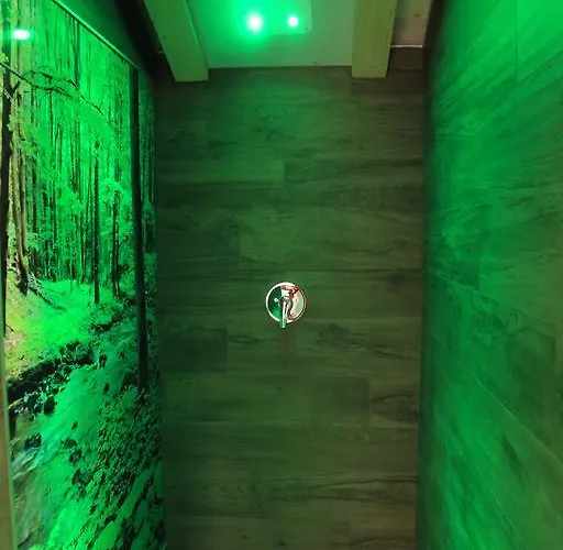 艾丽卡轻松酒店 酒店