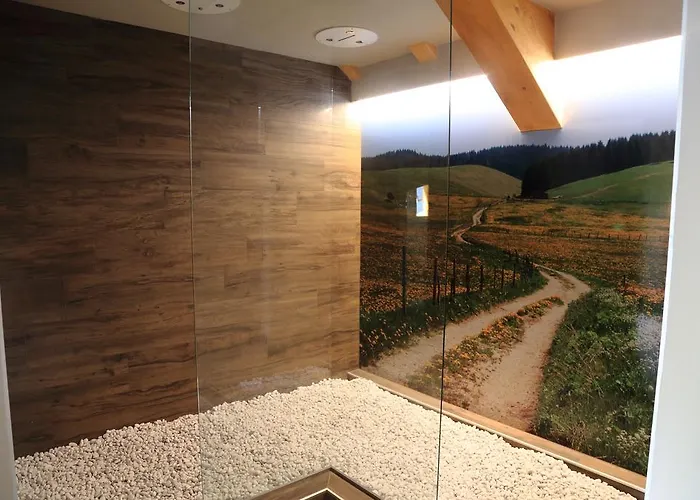 艾丽卡轻松酒店 3*