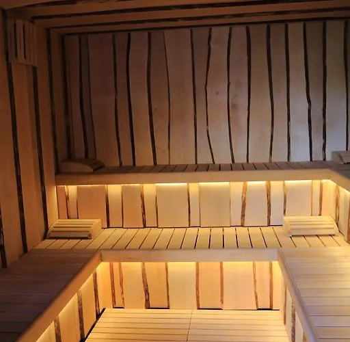 艾丽卡轻松酒店 酒店 阿西阿高