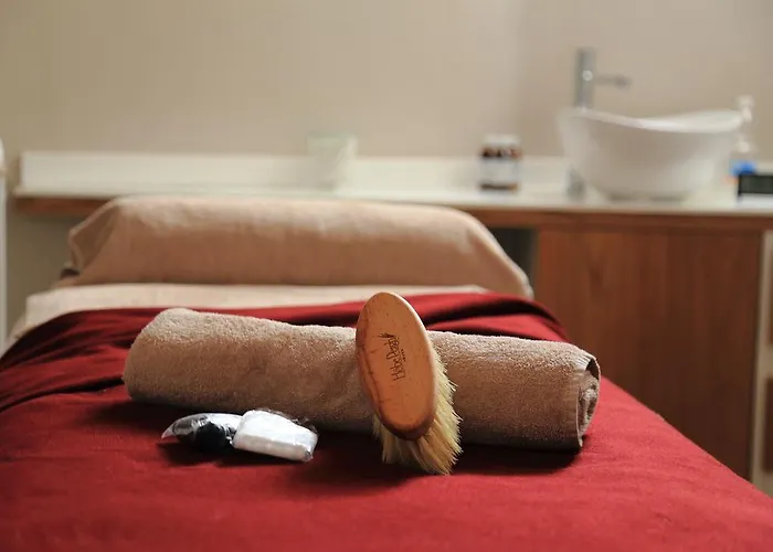 酒店 艾丽卡轻松酒店 3*