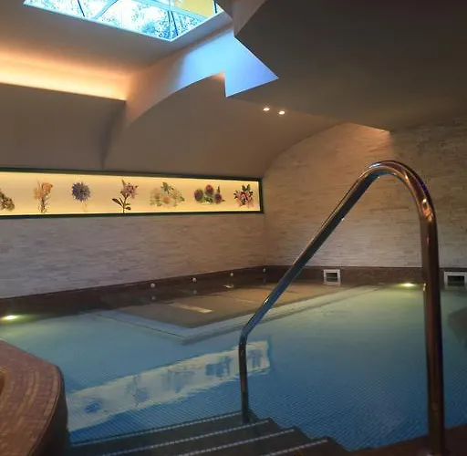 艾丽卡轻松酒店 酒店