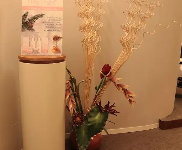 酒店 艾丽卡轻松酒店