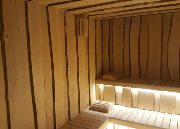 酒店 艾丽卡轻松酒店 3*