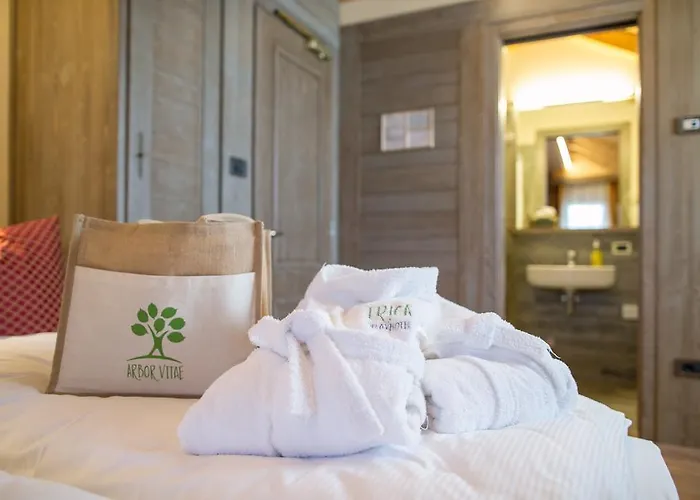 艾丽卡轻松酒店 酒店 阿西阿高