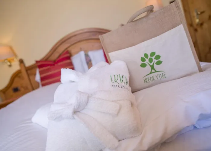 酒店 艾丽卡轻松酒店