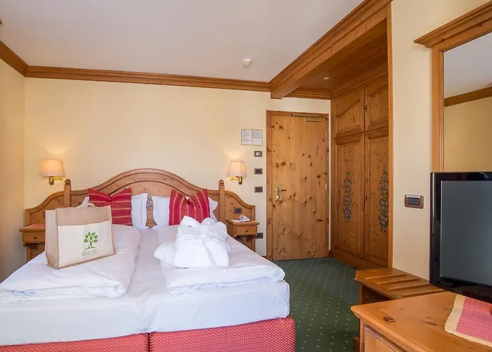 艾丽卡轻松酒店 3* 阿西阿高