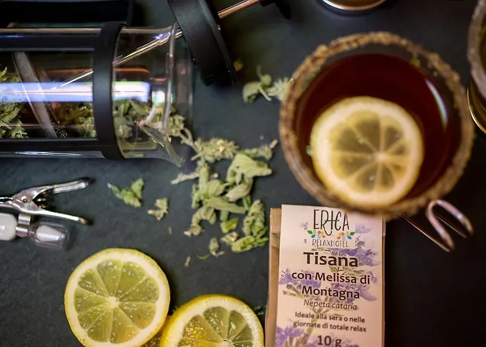 艾丽卡轻松酒店 阿西阿高