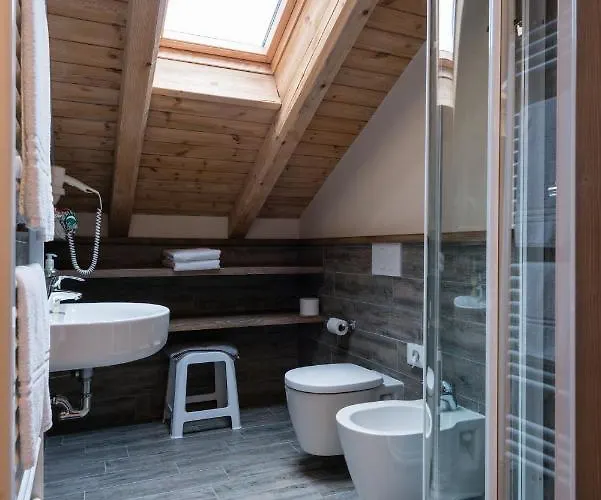 艾丽卡轻松酒店 酒店 阿西阿高