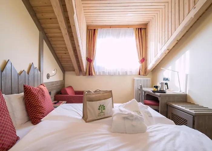 艾丽卡轻松酒店 阿西阿高